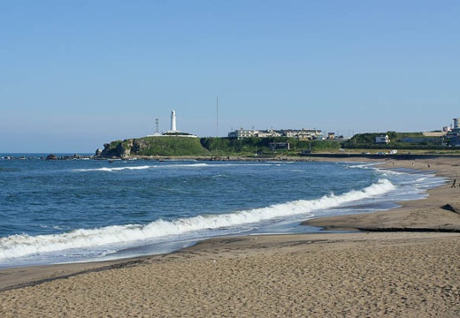 201006021621-DSC04451.jpg