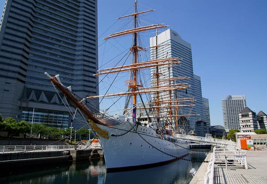 201006031337-DSC04551.jpg