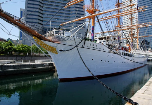 201006031337-DSC04552.jpg