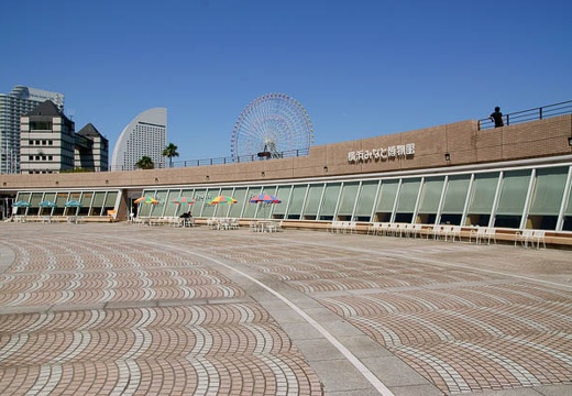 201006031339-DSC04555.jpg
