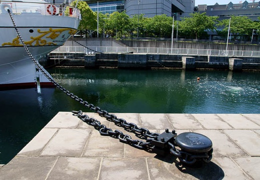 201006031342-DSC04560.jpg