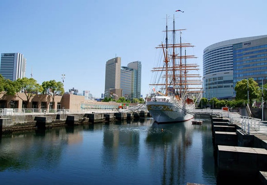 201006031345-DSC04564.jpg
