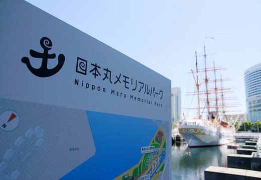 201006031347-DSC04568.jpg