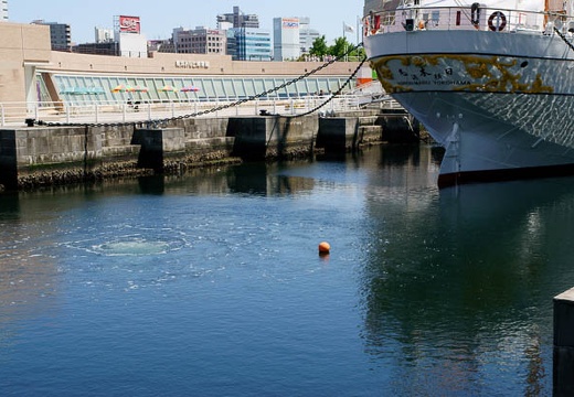 201006031348-DSC04570.jpg