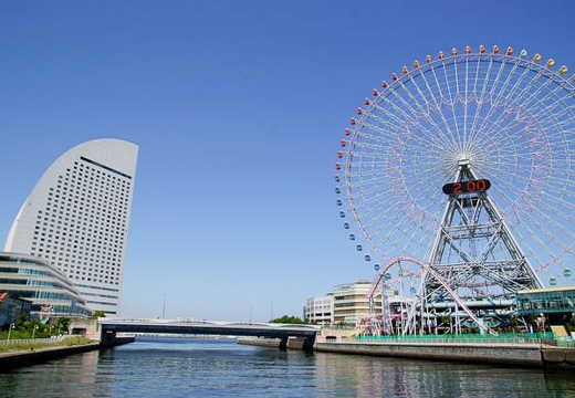 201006031400-DSC04593.jpg