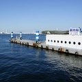 201006031510-DSC04702.jpg