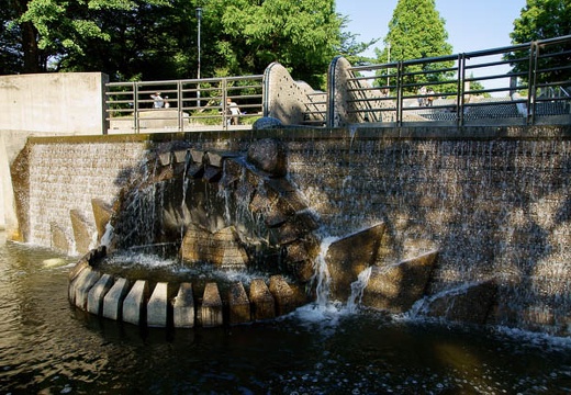 201006031645-DSC04792.jpg