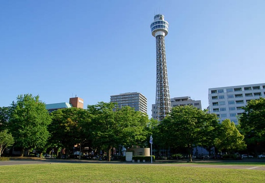 201006031647-DSC04798.jpg