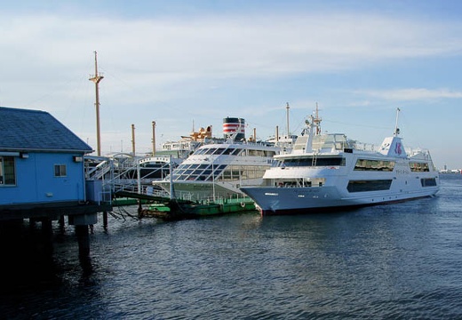 201006031648-DSC04799.jpg
