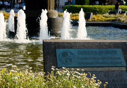 201006031705-DSC04837.jpg