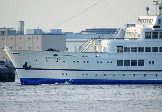 201006031716-DSC04859.jpg