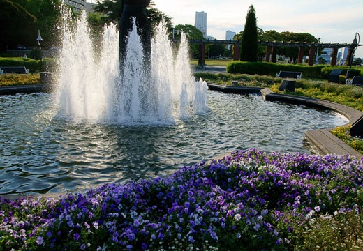 201006031720-DSC04864.jpg