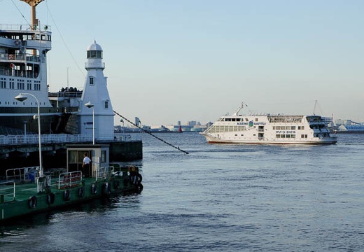 201006031724-DSC04867.jpg