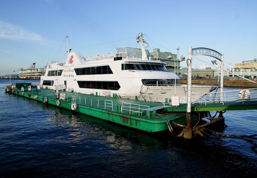 201006031724-DSC04868.jpg