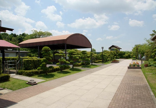 201006041159-DSC04884.jpg