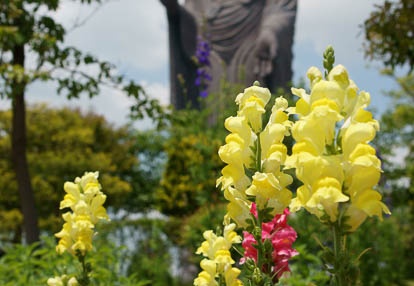 201006041200-DSC04887.jpg