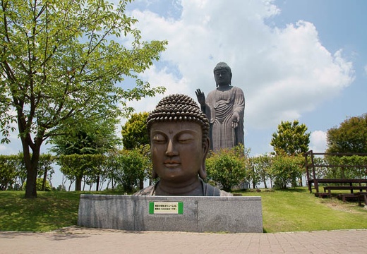 201006041201-DSC04888.jpg