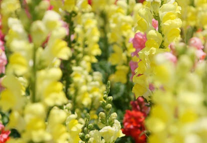 201006041204-DSC04897.jpg