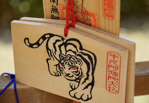 201006041205-DSC04901.jpg