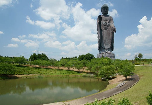201006041208-DSC04906.jpg