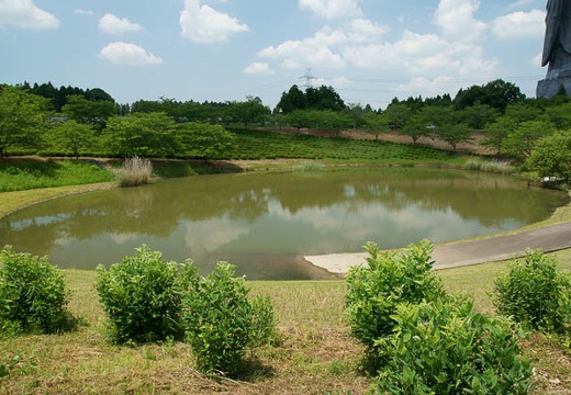 201006041212-DSC04915.jpg