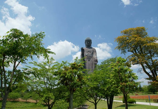 201006041214-DSC04918.jpg