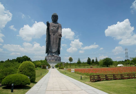 201006041216-DSC04921.jpg