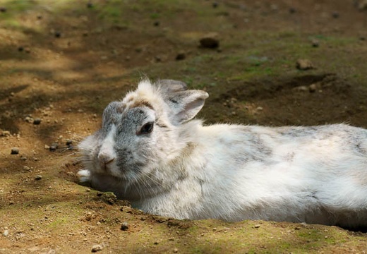 201006041248-DSC04952.jpg