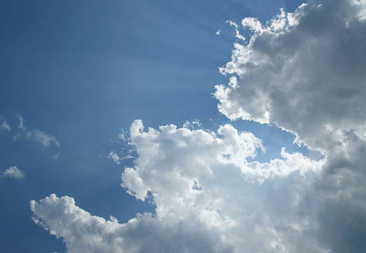 201006041412-DSC05115.jpg