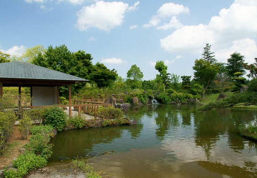 201006041416-DSC05119.jpg