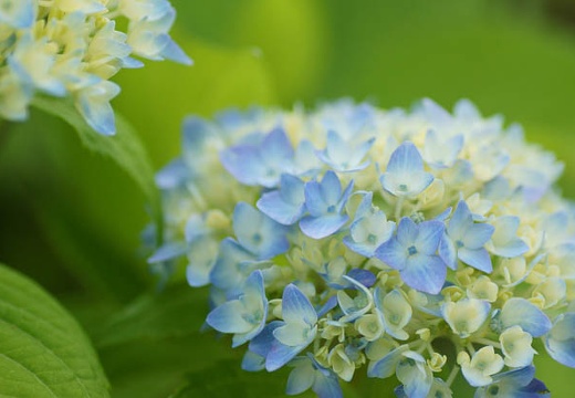 201006041427-DSC05138.jpg