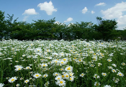 201006041439-DSC05158.jpg