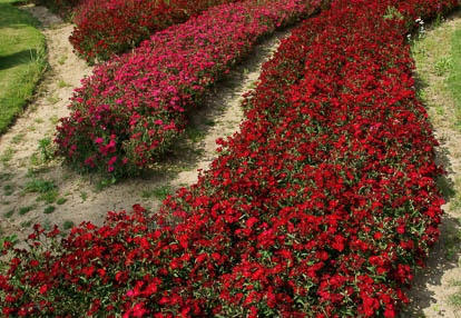 201006041440-DSC05160.jpg