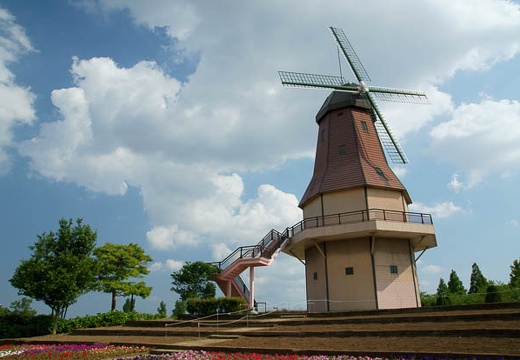 201006041507-DSC05170.jpg