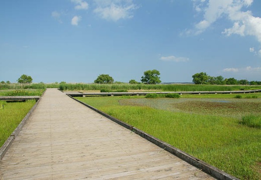 201006041518-DSC05190.jpg