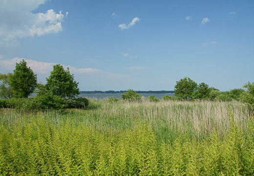 201006041531-DSC05210.jpg