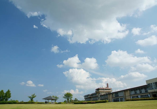 201006041536-DSC05219.jpg