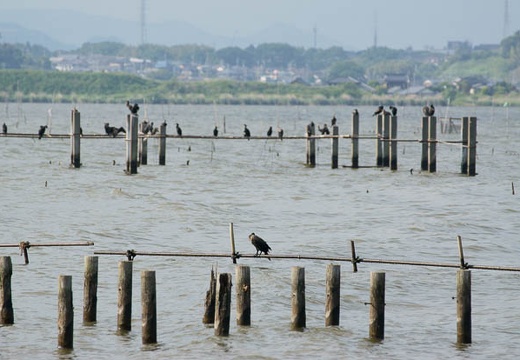 201006041546-DSC05256.jpg
