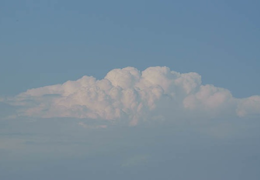 201006041608-DSC05309.jpg