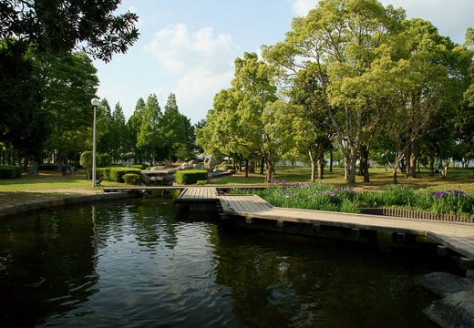 201006041618-DSC05326.jpg