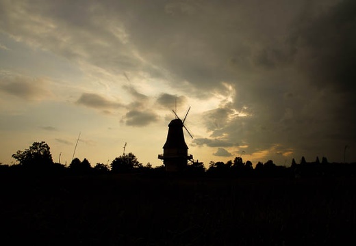 201006041718-DSC05405.jpg