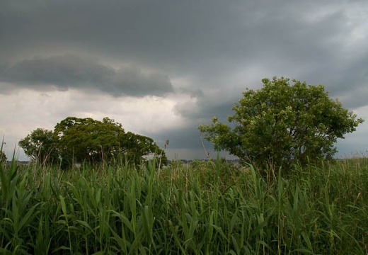201006041720-DSC05409.jpg