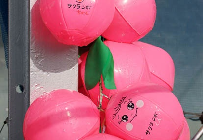 201006060702-DSC05827.jpg