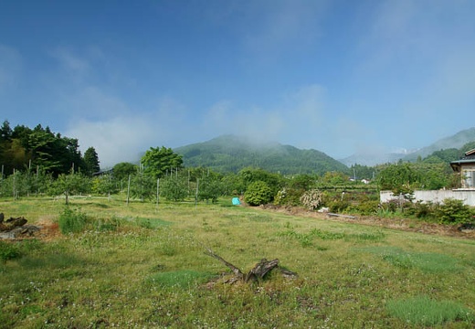 201006060705-DSC05829.jpg