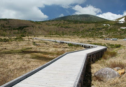201006060947-DSC06120.jpg