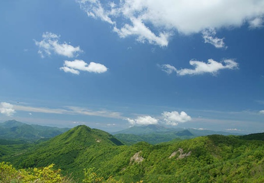 201006061038-DSC06168.jpg