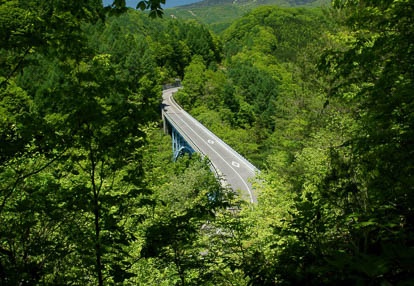 201006061207-DSC06261.jpg