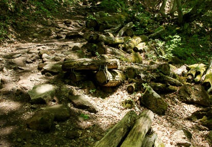 201006061218-DSC06268.jpg