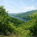 201006061349-DSC06335.jpg