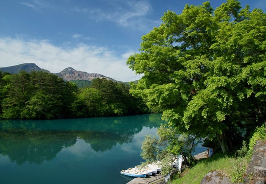 201006070803-DSC06547.jpg